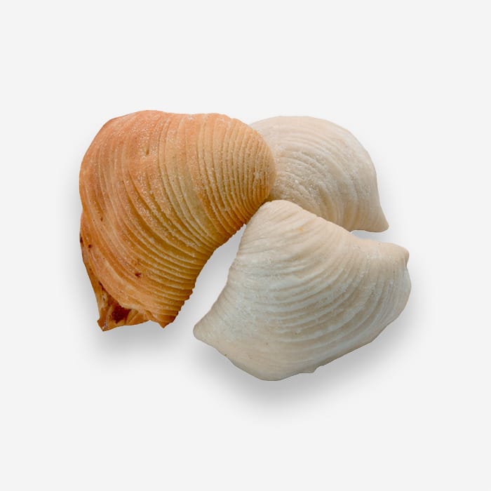 Sfogliata Mignon Filled With Ricotta and Candied Fruit